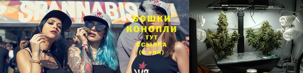 гашик Богородицк