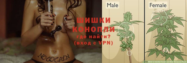 МДПВ Богданович