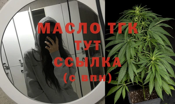 гашик Богородицк