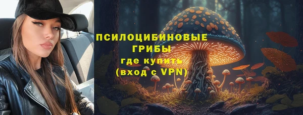 гашик Богородицк