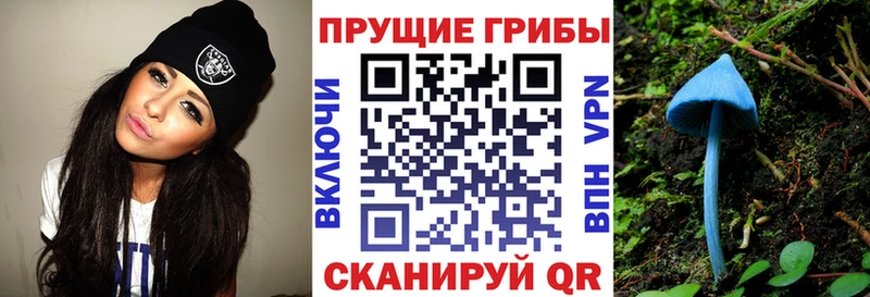 Псилоцибиновые грибы Psilocybine cubensis  Купить где  Задонск 